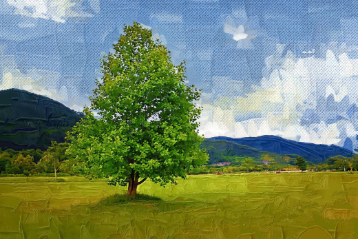 665087 (a): :1920x1280
